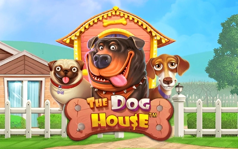Divirta-se com os multiplicadores do The Dog House jogando na Pagbet.